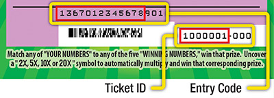 Scratchers 2nd Chance code on ticket