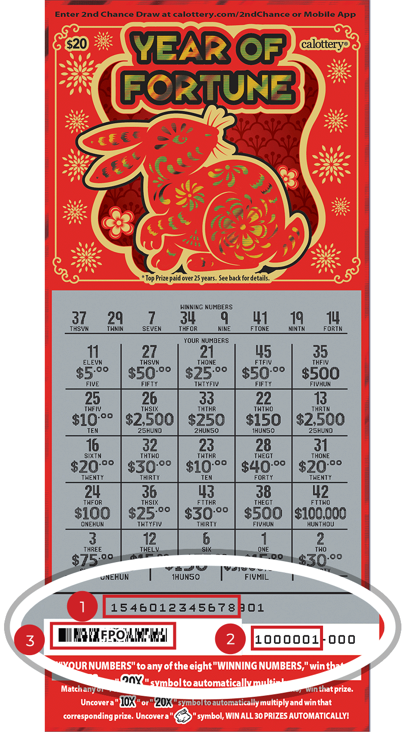 1546 20 year of fortune