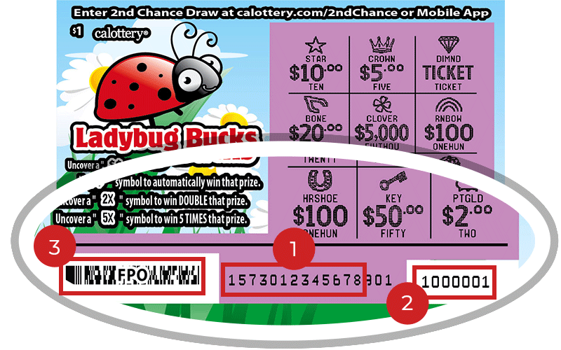 1573 $1 Ladybug Bucks
