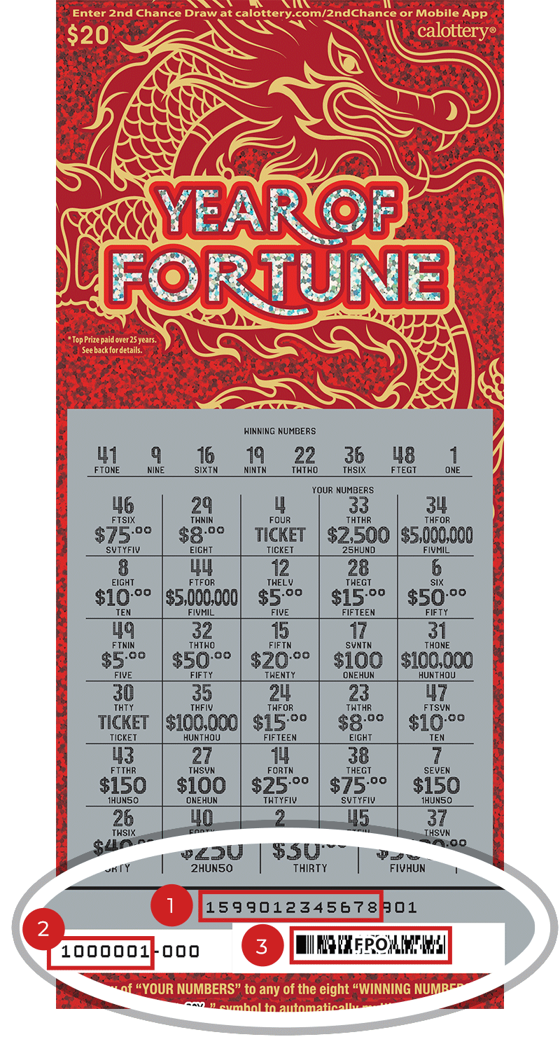 1599 20 Year of Fortune