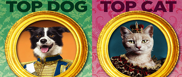 Top Dog Top Cat