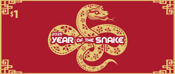 Year of the Snake